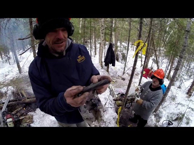 Aldever Resources Lac Villebon Gold Project Phase 1 Program 2016